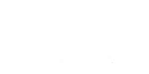 Martin Development – Nowoczesne inwestycje tworzone z myślą o ludziach i przyszłości.